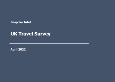 Bespoke – UK Travel Survey