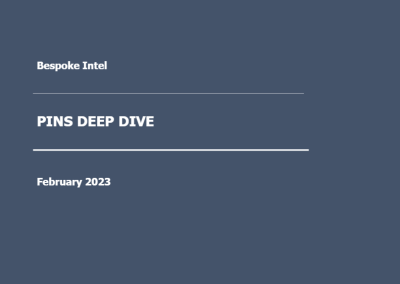 Bespoke – PINS Deep Dive (Feb 23)
