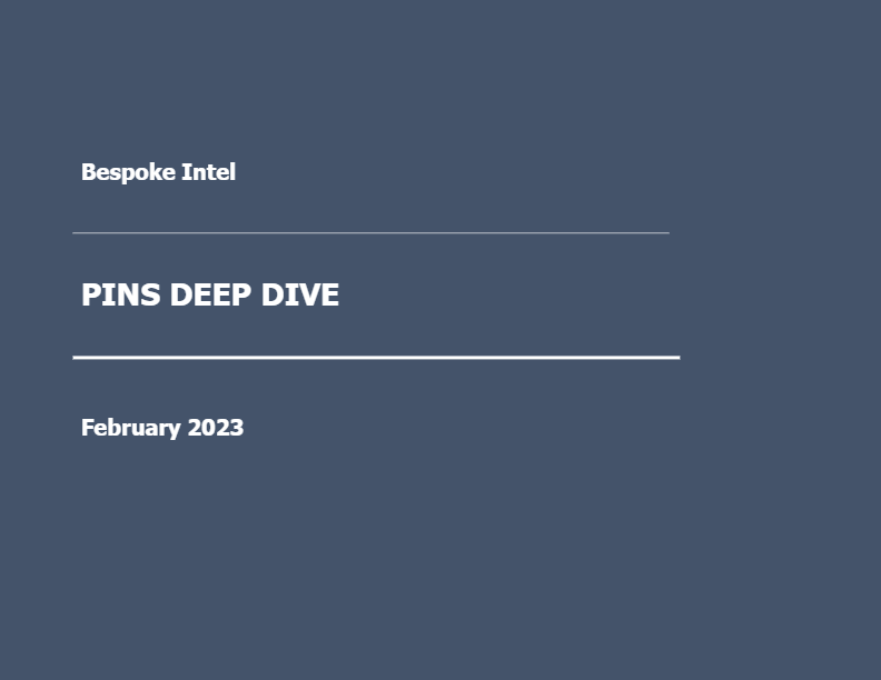 Bespoke – PINS Deep Dive (Feb 23)