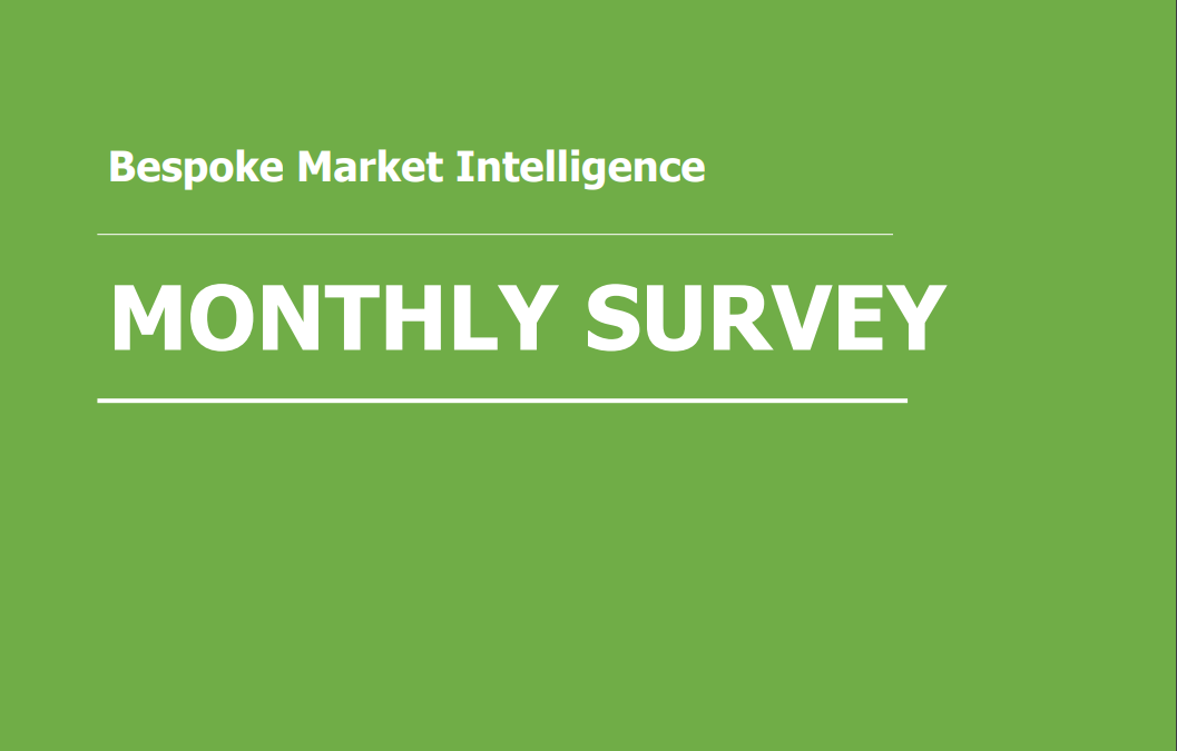 Bespoke – Search and AI Survey, Monthly Update