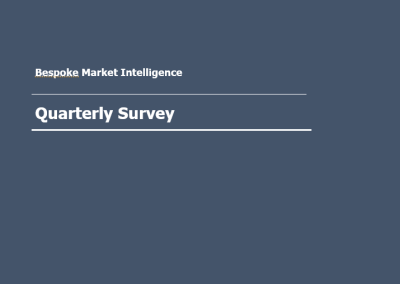 Bespoke – VSCO, Quarterly Survey (VSCO)